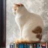CathyG2903's profile picture