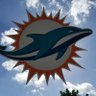🐬D O L F A N🏈N E I L🐬 profil fotoğrafı