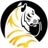 Golden Stripes 的头像