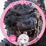 キングトラブルR 的头像