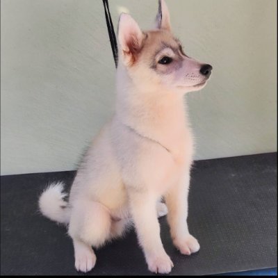 Beaut's profile picture