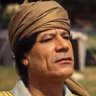 ahmed's profile picture