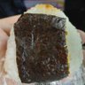 さぶ垢のサブ四郎丸 的头像