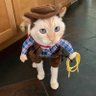 Tracy's profile picture