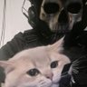 Ghost🪽 profil fotoğrafı
