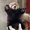 NuubNip4cute's profile picture