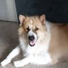 LUCKY's profile picture