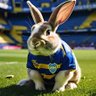 Profilbild von CONEJOBOSTERO