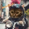 Profilbild von katsu👟🚤🚴♂️