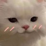 Nea๐ค's profile picture