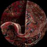 مُناي's profile picture