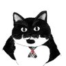 ばんばん's profile picture