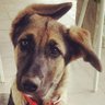 Кыля Изжогин's profile picture