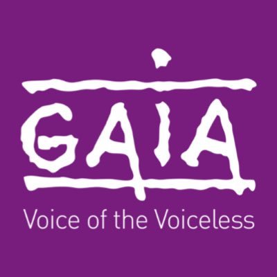 GAIA's profile picture