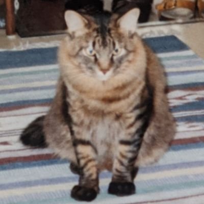 kaze9316's profile picture