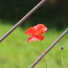plus maîtreeeesssse!!!! profil fotoğrafı