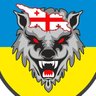 Georgian Legion profil fotoğrafı