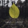 Фото профиля علي أبو الحسن