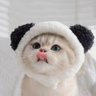 Kridd's profile picture