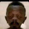 Gustavo Rolo's profile picture