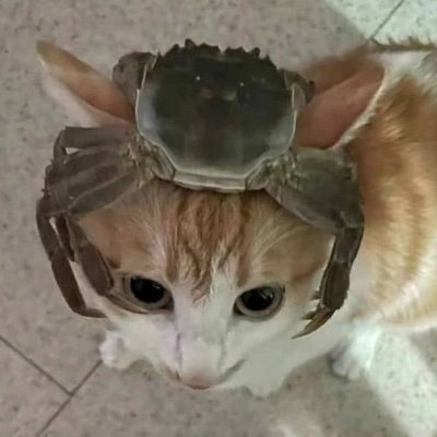 maze's profile picture