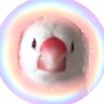 Фото профиля ワンルーム文鳥ぷんこ