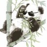 焕涣 profil fotoğrafı