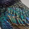 Фото профиля Hank Lovejoy
