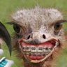 Adi Nule profil fotoğrafı