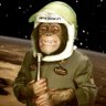 Dave Atlas's profile picture