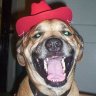GaryVan's profile picture