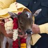Фото профиля Deepjyoti Cow