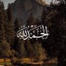 ابو صطيف الحموي 的头像