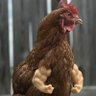 Yanys profil fotoğrafı