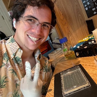 Keoni Gandall's profile picture