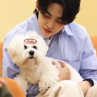 choischeollie's profile picture