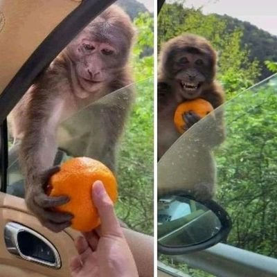 감복's profile picture