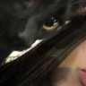Profilbild von lwen