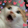 Profilbild von aAaAaAhhhhhh
