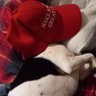 JaseTheAceApe's profile picture