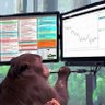 Sandy's_TRADING 的头像