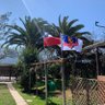 carlos lisboa 🇨🇱🇵🇸's profile picture