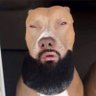 Bigboy22355 profil fotoğrafı