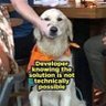 mezzobonsens.bsky.social's profile picture