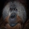 Fede's profile picture