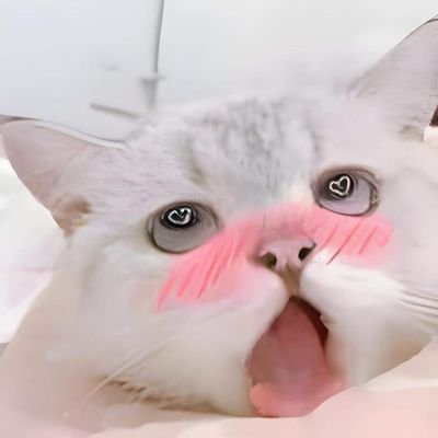 Zoolover Fc's profile picture