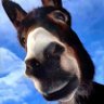 Profilbild von Waj