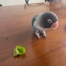 Фото профиля 🦜鳥沼投資家Be☺️
