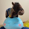 りょ 的头像