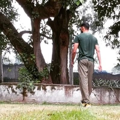 JunkePolitical's profile picture